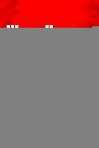 Шафер напрокат